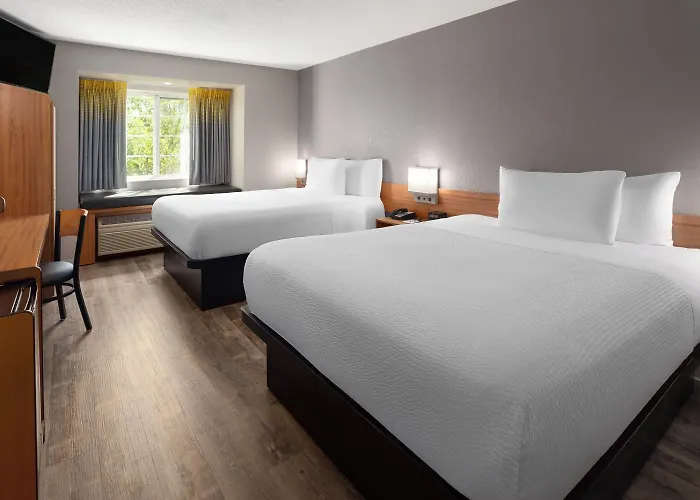 Microtel Inn & Suites By Wyndham Ann Arbor